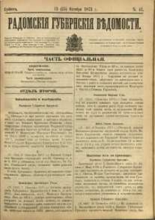 Radomskiâ Gubernskiâ Vĕdomosti, 1873, nr 41