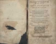Promptuarium morale sepr Evangelia Dominicalia totius anni. Pars æstivalis