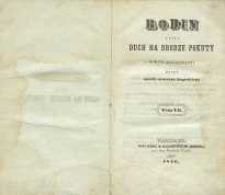 Rodin czyli duch na drodze pokuty : romans allegoryczny T. 7