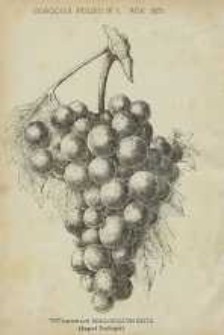 Ogrodnik Polski : Dwutygodnik poświęcony wszystkim gałęziom ogrodnictwa, 1886, R. 8, T. 8, nr 10