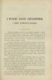 Ogrodnik Polski : Dwutygodnik poświęcony wszystkim gałęziom ogrodnictwa, 1896, R. 18, T. 18, nr 23