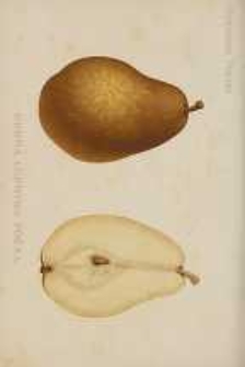 Ogrodnik Polski : Dwutygodnik poświęcony wszystkim gałęziom ogrodnictwa, 1898, R. 20, T. 20, nr 18