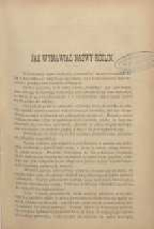 Ogrodnik Polski : Dwutygodnik poświęcony wszystkim gałęziom ogrodnictwa, 1889, R. 11, T. 11, nr 3