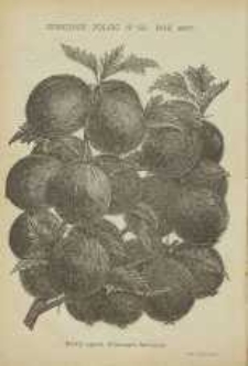 Ogrodnik Polski : Dwutygodnik poświęcony wszystkim gałęziom ogrodnictwa, 1887, R. 9, T. 9, nr 20