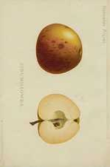 Ogrodnik Polski : Dwutygodnik poświęcony wszystkim gałęziom ogrodnictwa, 1894, R. 16, T. 16, nr 1