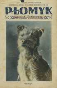Płomyk : tygodnik ilustrowany dla dzieci i młodzieży, 1933, R. 17, nr 24