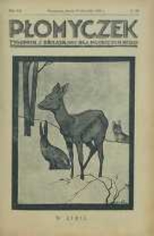 Płomyczek, 1928, R. 12, nr 20
