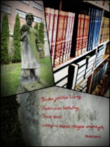 Najciekawsze spostrzeżenia