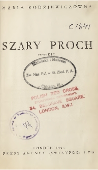 Szary proch : powieść