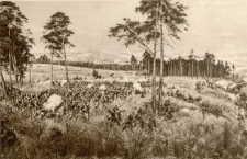 [Bitwa pod Racławicami : Bataljon piechoty Wodzickiego wstrzymuje atak muszkieterów rosyjskich]