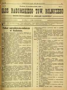 Przegląd Sejmikowy : Urzędowy Organ Sejmiku Radomskiego, 1926, R. 5, nr 40, dod.