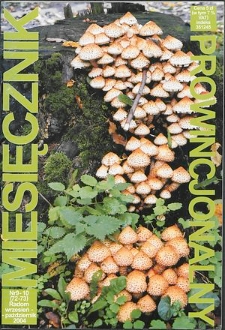 Miesięcznik Prowincjonalny, 2004, R. 7, nr 9/10